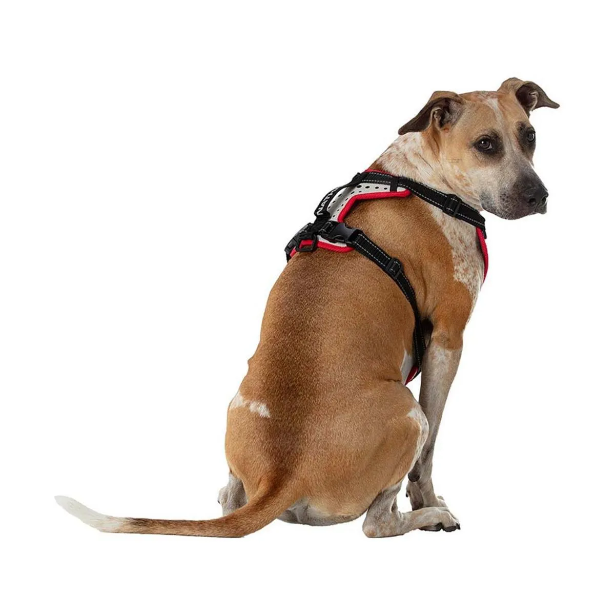 Nathan K9 Series Dog Harness Reflective